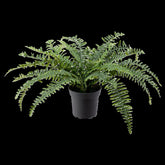 FEJKA Artificial potted plant, in/outdoor fern 15 cm
